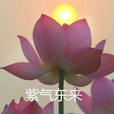 穿越联盟果盘版下载